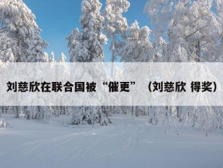 刘慈欣在联合国被“催更”（刘慈欣 得奖）