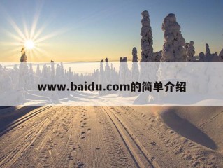 www.baidu.com的简单介绍