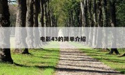 电影43的简单介绍