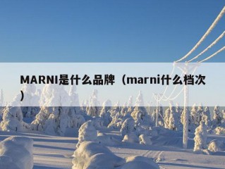 MARNI是什么品牌（marni什么档次）