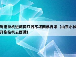 驾拖拉机进藏网红因不堪网暴自杀（山东小伙开拖拉机去西藏）