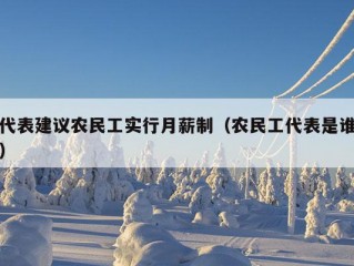 代表建议农民工实行月薪制（农民工代表是谁）