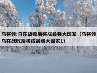 乌将领:乌在战败后将成最强大国家（乌将领乌在战败后将成最强大国家1）