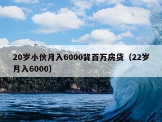 20岁小伙月入6000背百万房贷（22岁月入6000）