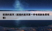 狐狸的夏天（狐猩的夏天第一季电视剧免费观看）