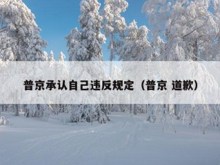 普京承认自己违反规定（普京 道歉）