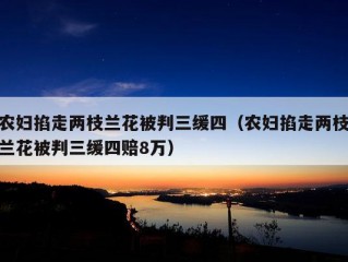 农妇掐走两枝兰花被判三缓四（农妇掐走两枝兰花被判三缓四赔8万）