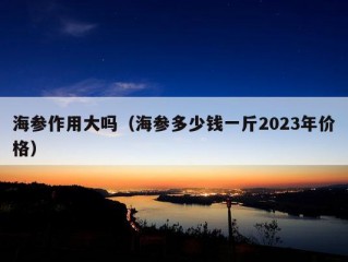 海参作用大吗（海参多少钱一斤2023年价格）