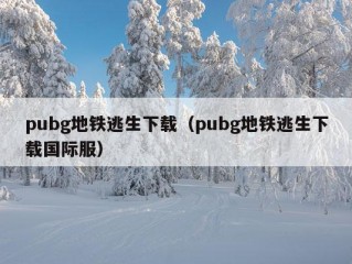 pubg地铁逃生下载（pubg地铁逃生下载国际服）