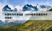 文案短句干净治愈（2024新年文案短句干净治愈）